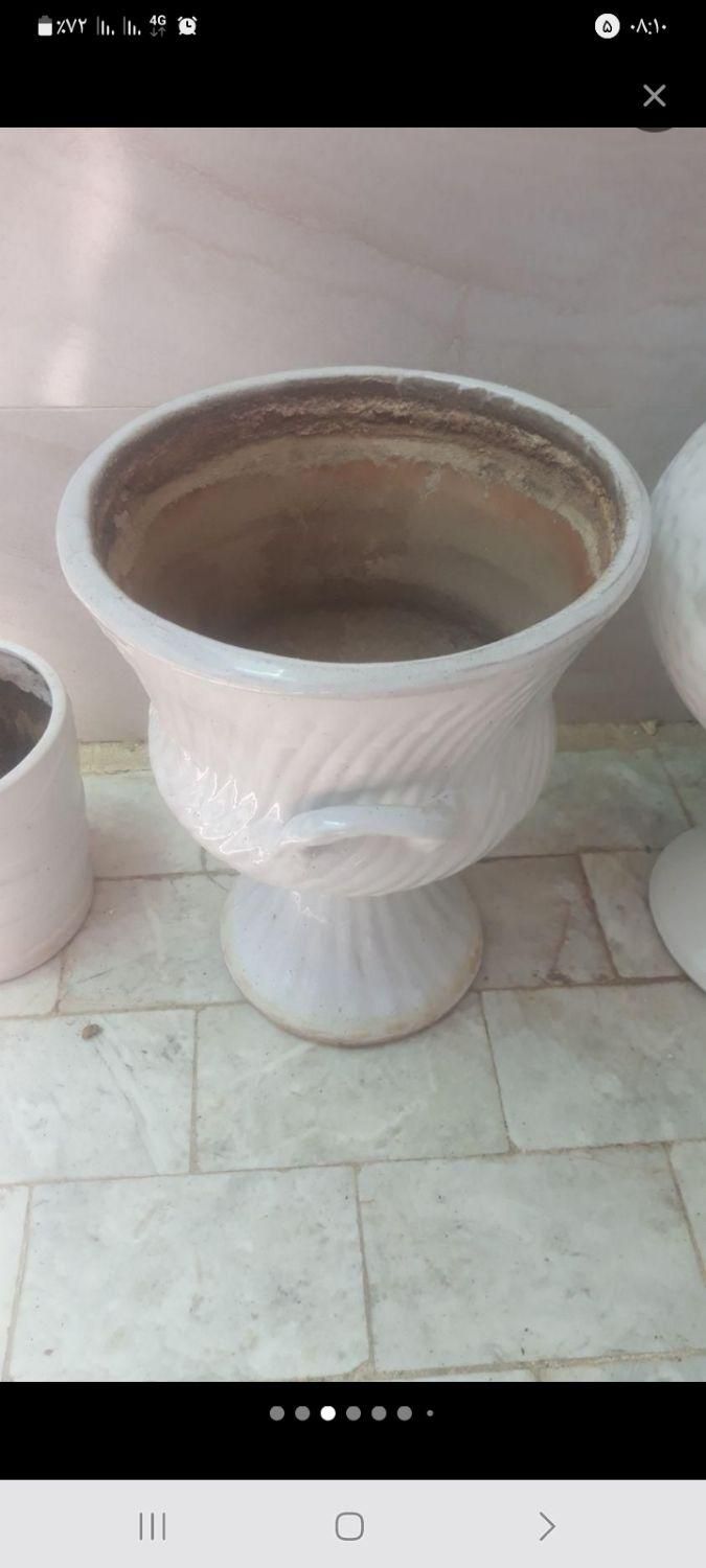 تعدادی گلدان|گل و گیاه طبیعی|اصفهان, فردوان|دیوار