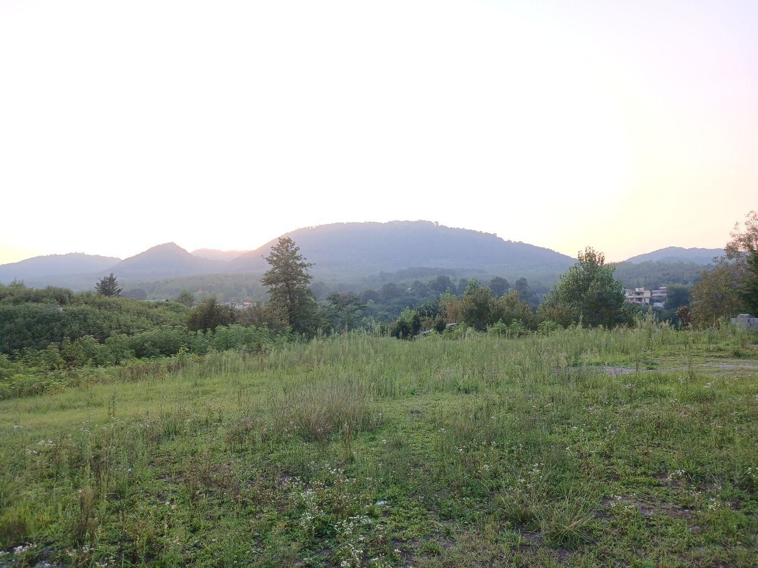 زمین‌جنگلی‌‌در‌قطعات‌مختلف سراوان/ کچا‌/جوکلبندان|فروش زمین و ملک کلنگی|سنگر, |دیوار