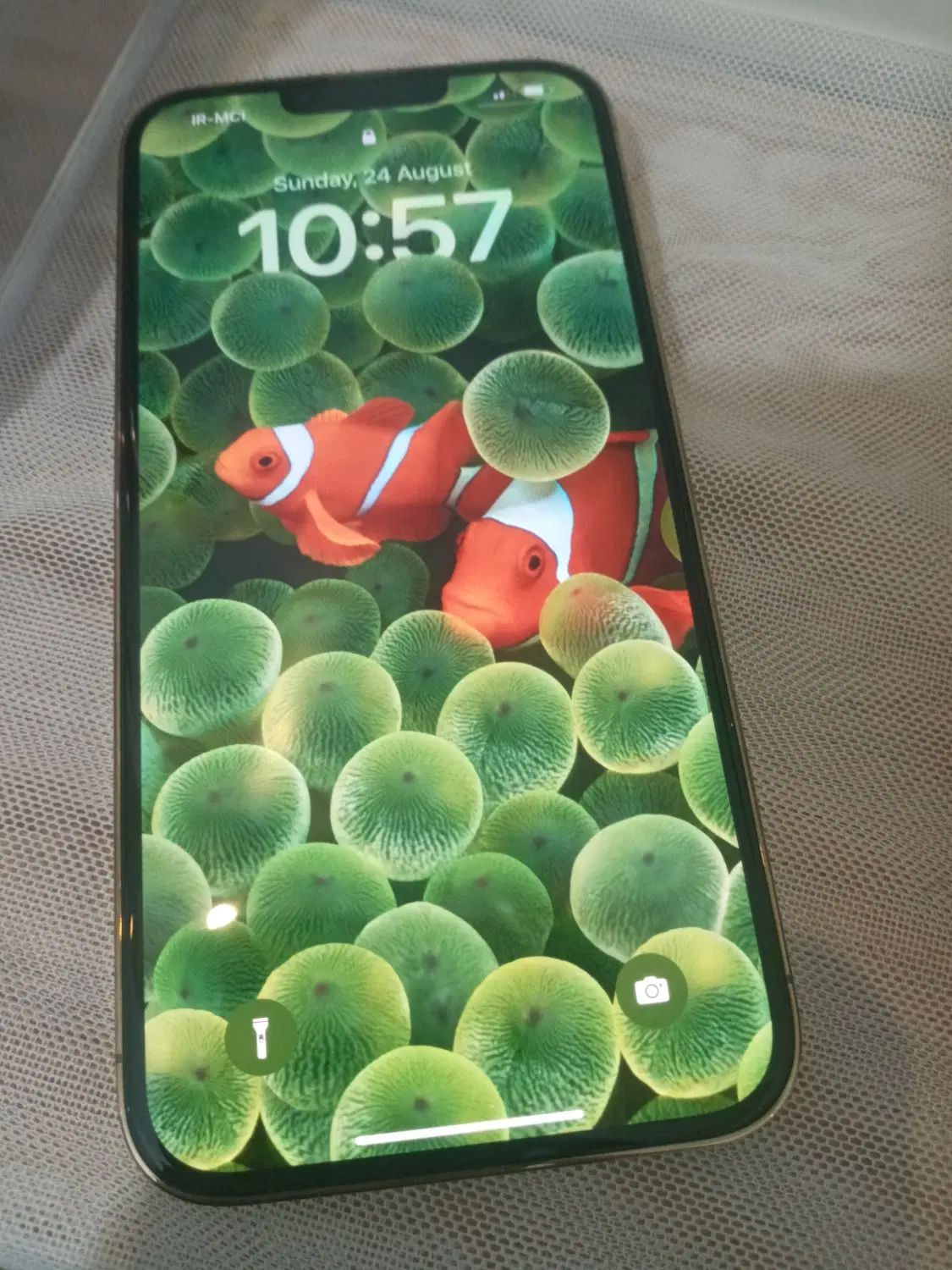 اپل iPhone 13 Pro Max با حافظهٔ ۲۵۶ گیگابایت|موبایل|تهران, والفجر (افسریه)|دیوار