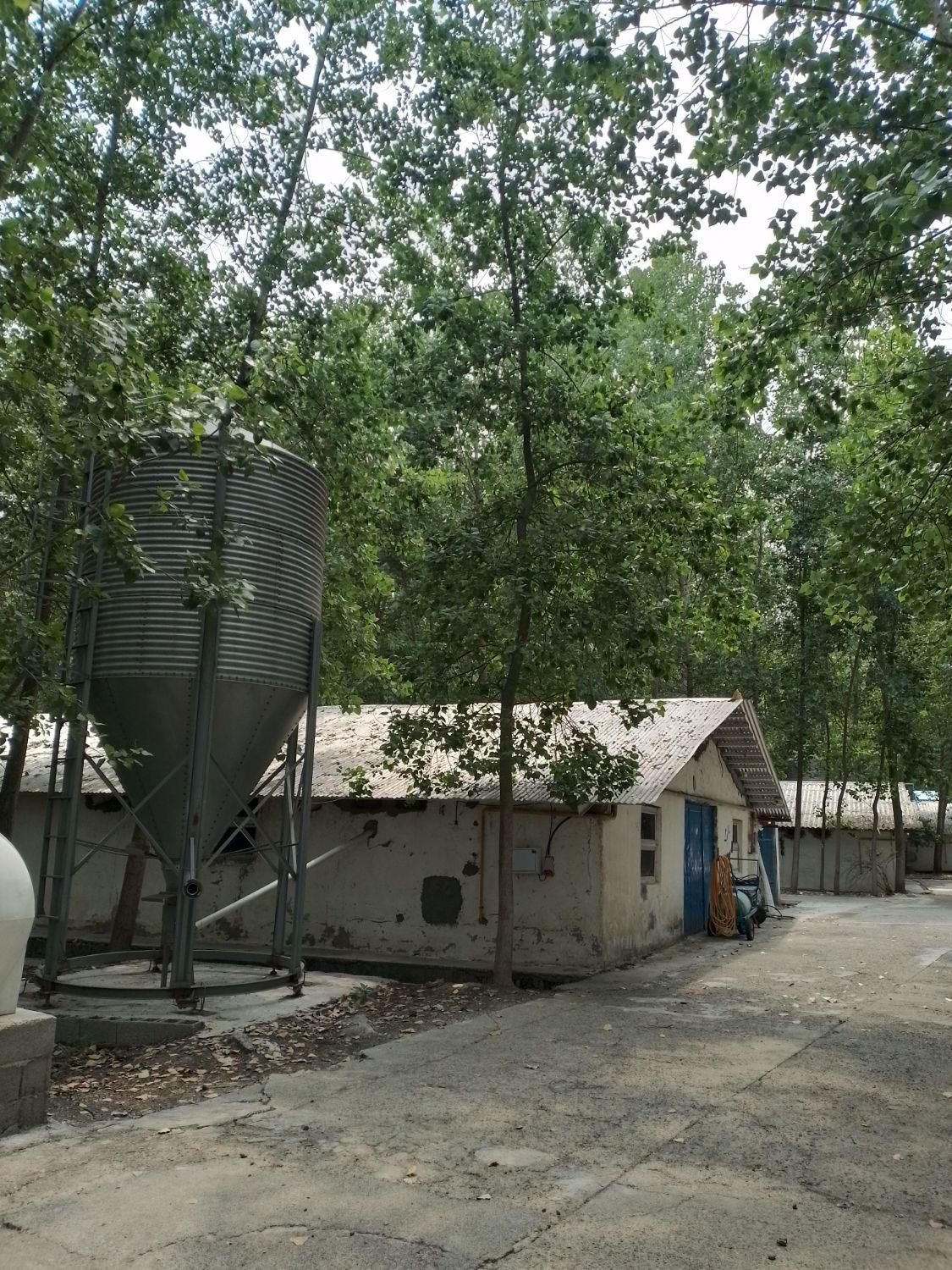 کارگر سالن مرغداری گوشتی|استخدام صنعتی، فنی، مهندسی|صومعه‌سرا, |دیوار