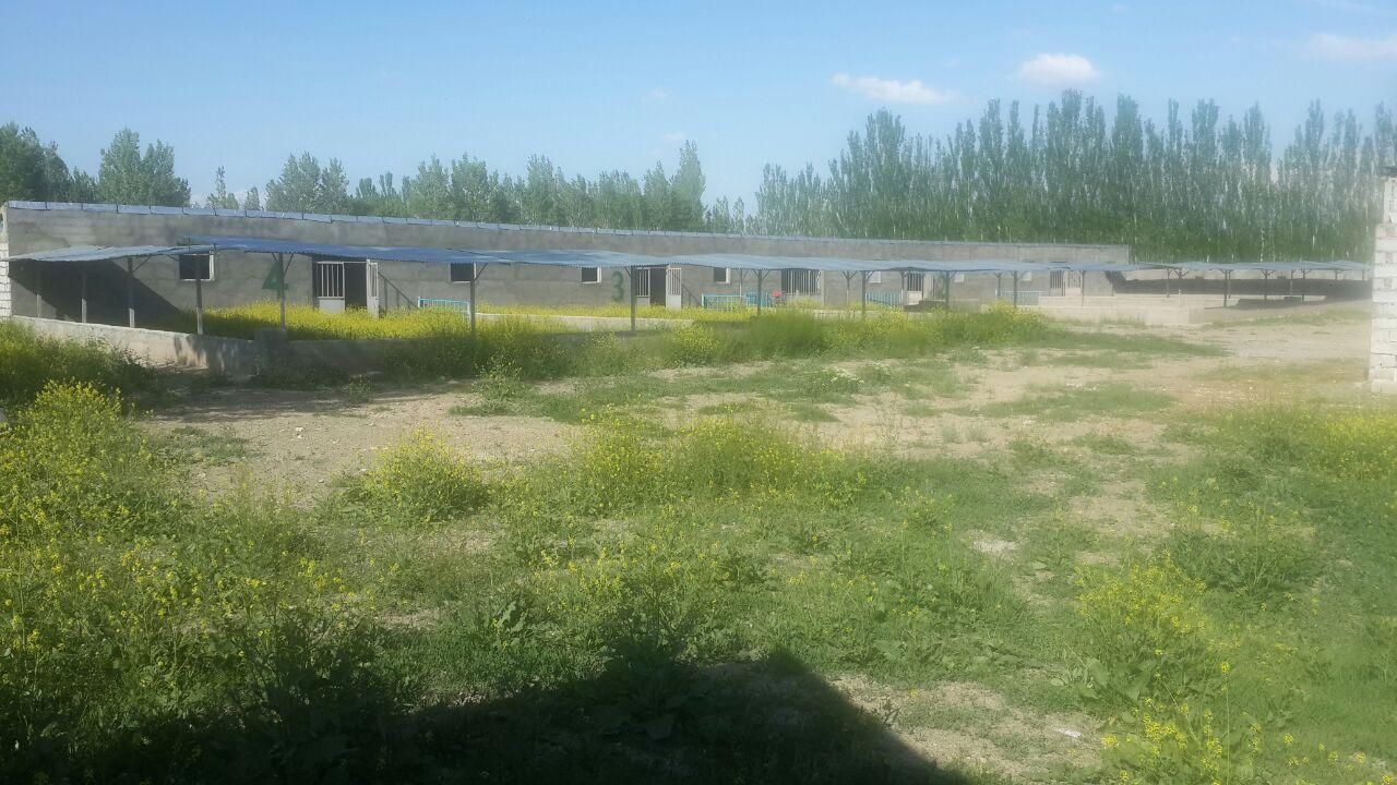 فروش فوری دامداری ۵۰۰ راسی|فروش دفتر صنعتی، کشاورزی، تجاری|خوی, |دیوار