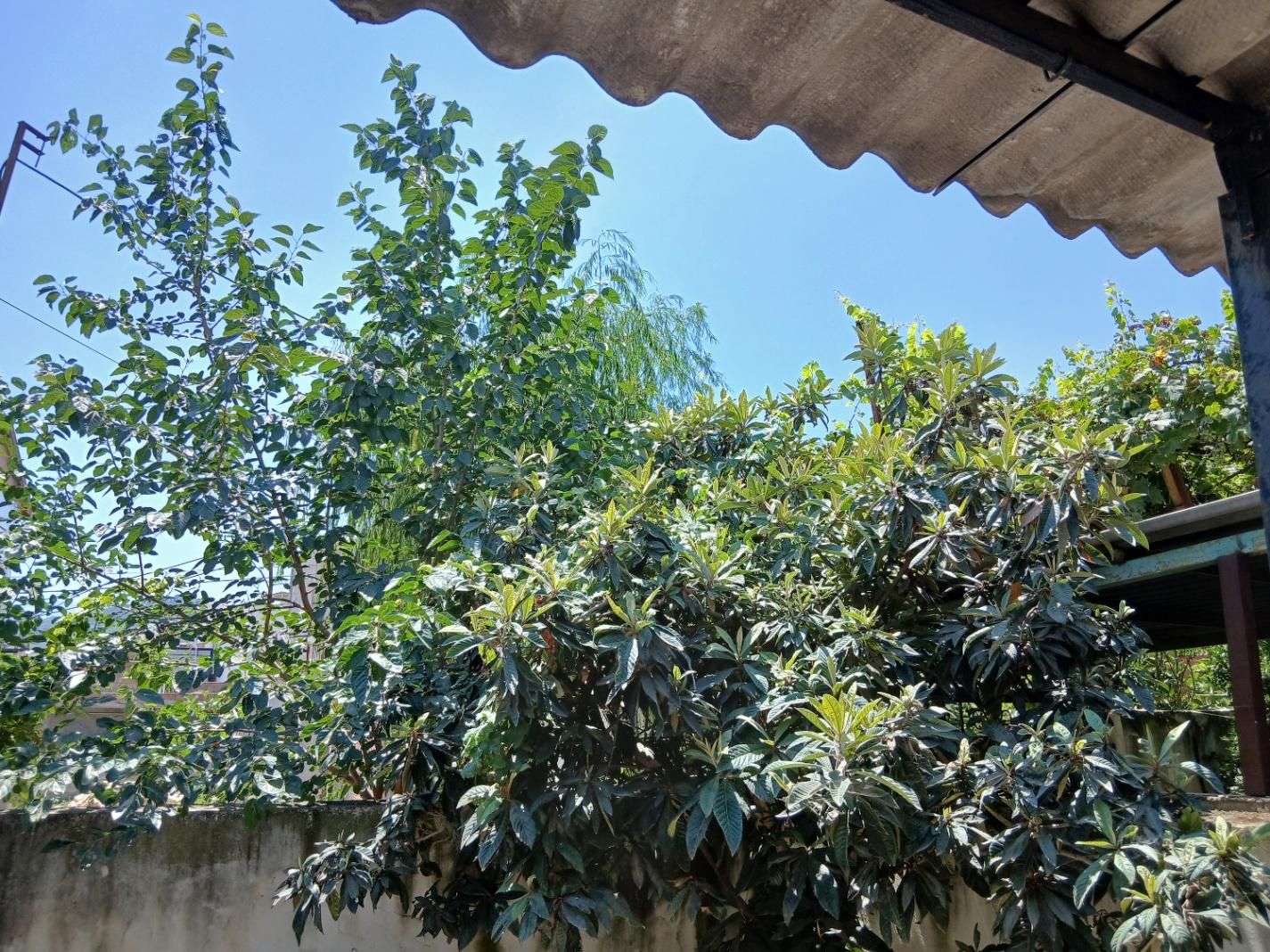 خانه ویلایی فروشی محمدآباد،معاوضه باویلایی مینودشت|فروش خانه و ویلا|مینودشت, |دیوار