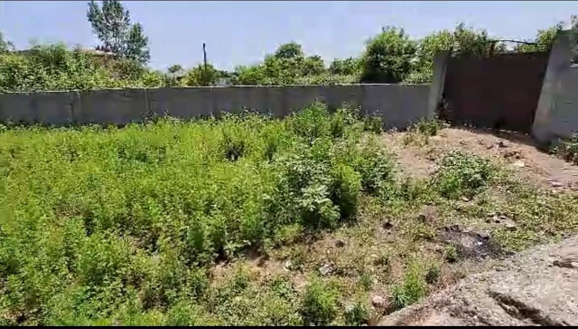 فروش زمین مسکونی ۵۰۰متری در قلعه‌بین لیسار|فروش زمین و ملک کلنگی|لیسار, |دیوار
