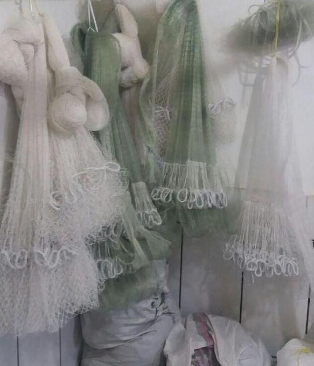 تور پرتابی. سالیک. تور ماهگیری|ماهیگیری|تهران, تهرانسر شمالی|دیوار