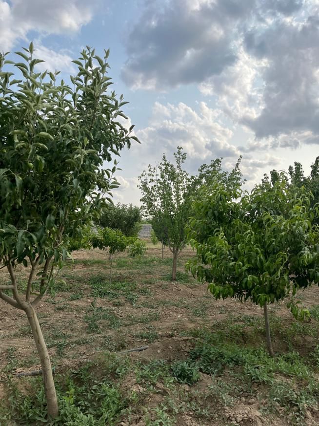 قواره باغی (آبشینه-املاک آروان)|فروش زمین و ملک کلنگی|همدان, |دیوار