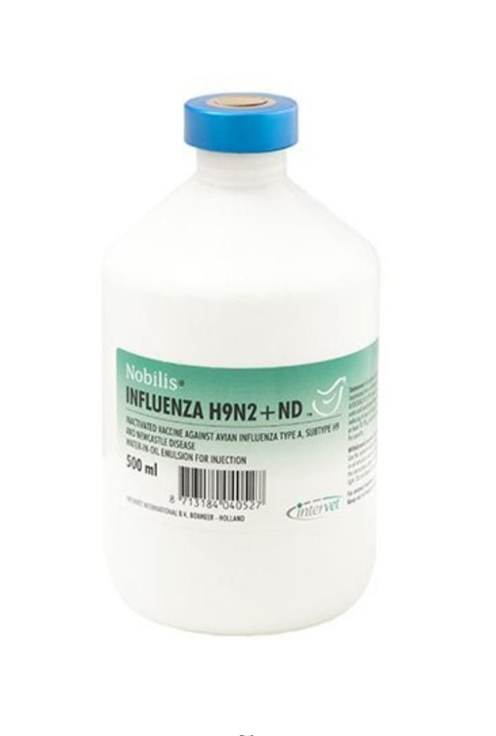 واکسن نیوکاسل و آنفولانزای طیور و کبوتر|لوازم جانبی حیوانات|شیراز, شهرک والفجر|دیوار