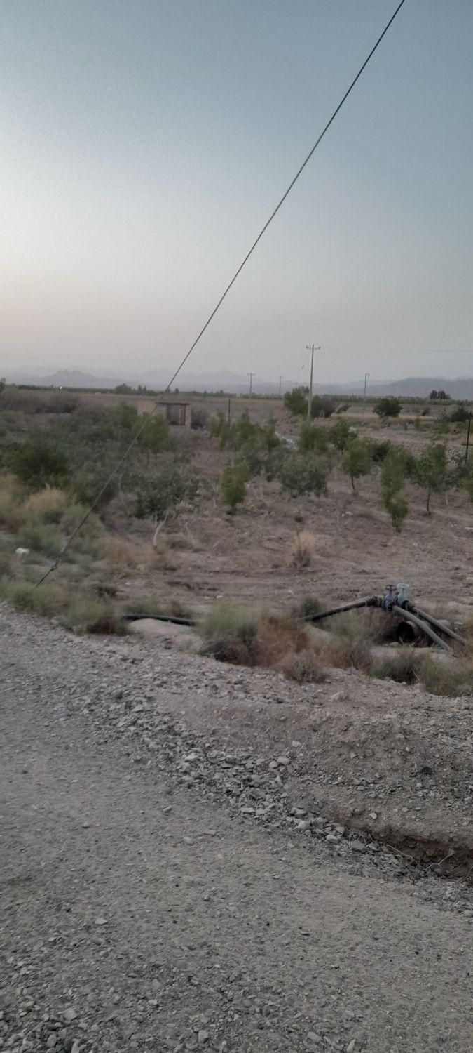تصویر 3