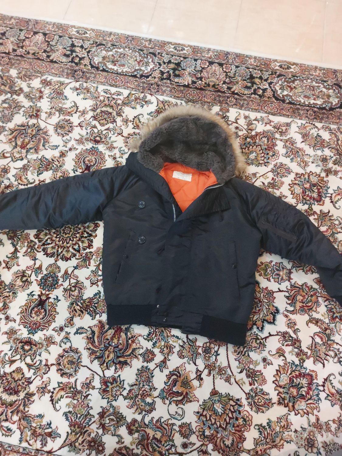 کاپشن خلبانی امریکایی|لباس|ساری, |دیوار