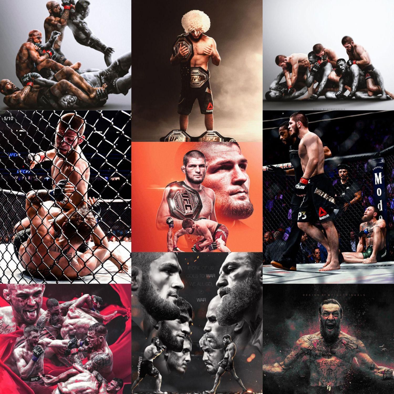 باشگاه تخصصی MMA و جوجیستو bjjو کاراته mfc|خدمات آموزشی|اردبیل, |دیوار