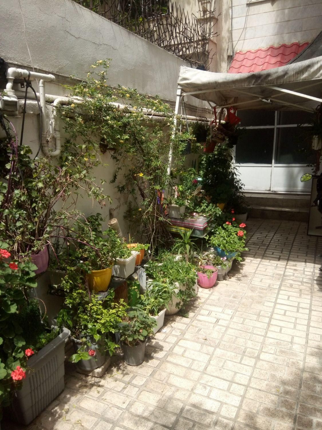 خانه 100 متری دلباز (شمیران‌نو)|اجارهٔ آپارتمان|تهران, شمیران‌نو|دیوار