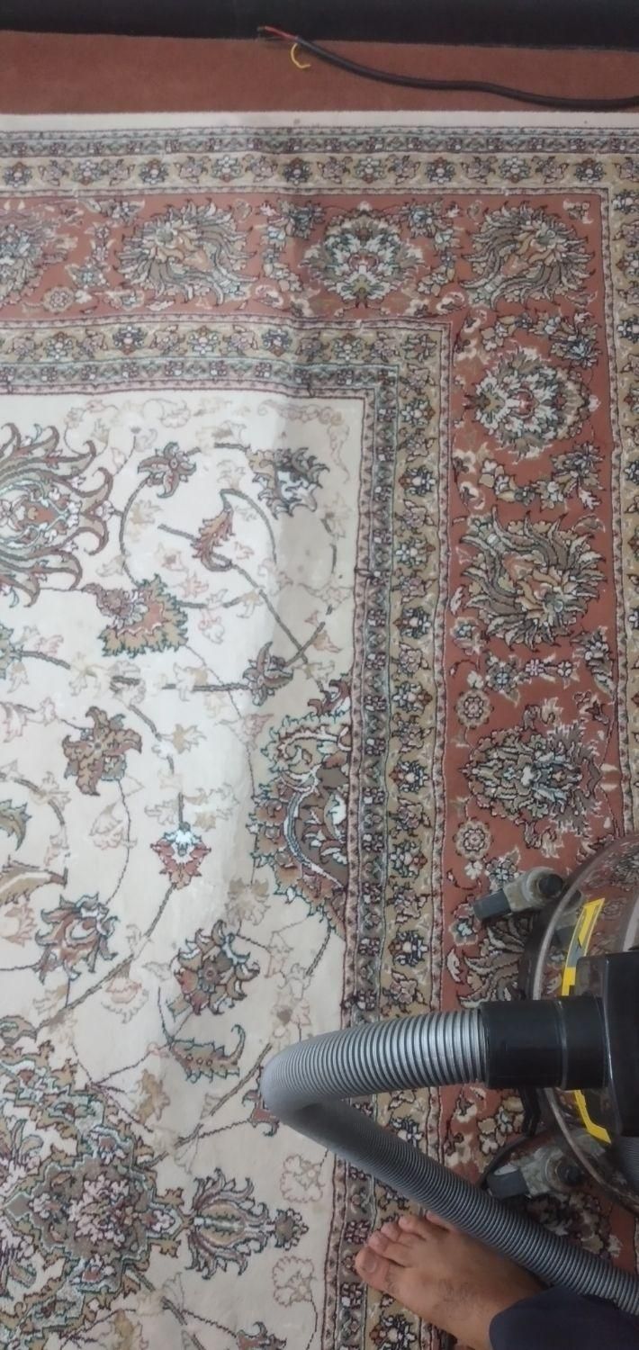 مبل شویی و فرش شویی دلربا|خدمات نظافت|کنارک, |دیوار