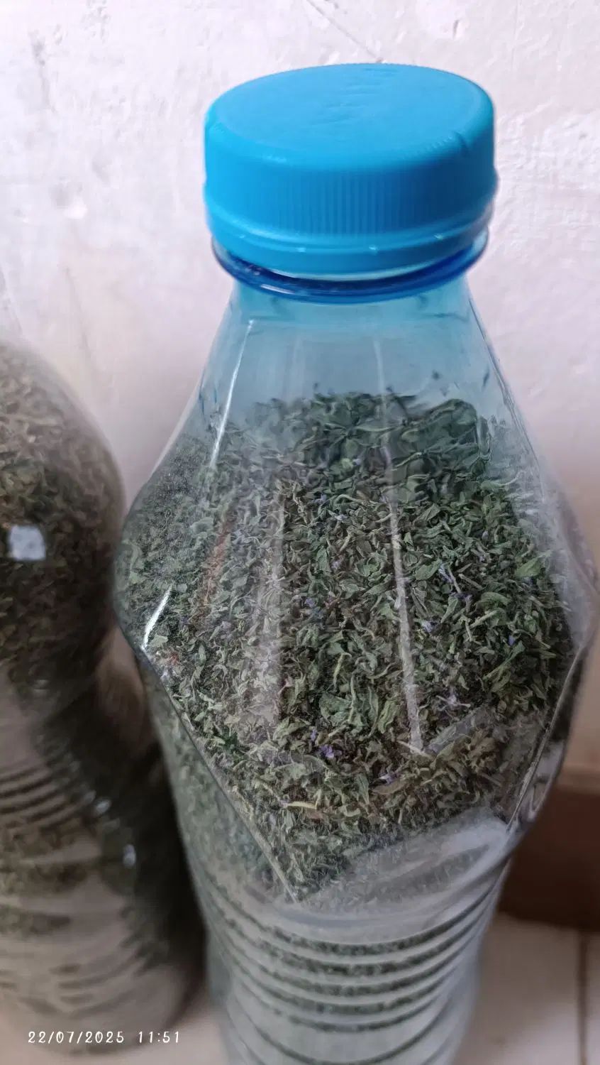 خالواش خشک .دلار(نمک سبز)|خوردنی و آشامیدنی|رشت, استقامت ۲|دیوار