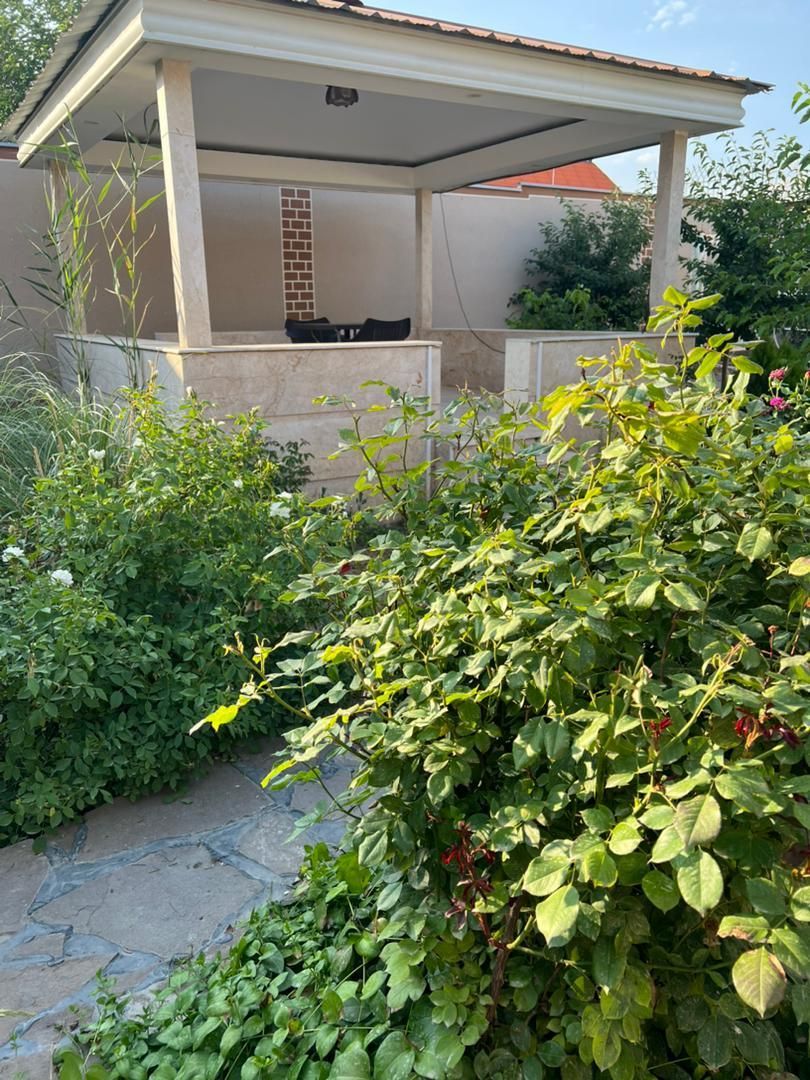 اجاره برای ۱۰ نفر وسط هفته ۱۵۰۰۰۰۰|اجارهٔ کوتاه‌مدت ویلا و باغ|مشهد, کلاته تیموری|دیوار