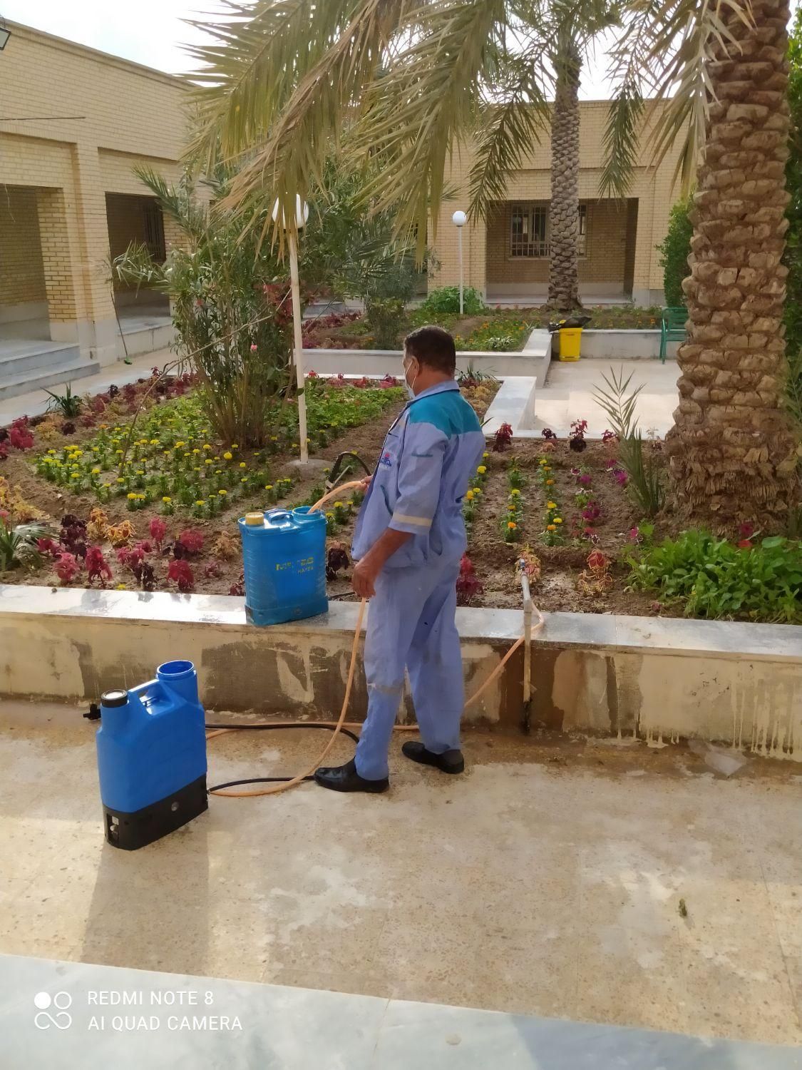 سمپاشی ساس سوسک گیاهی موریانه زدایی سمپاشی شرکتی|خدمات نظافت|بندر ماهشهر, |دیوار