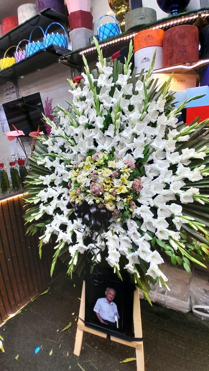 گلفروشی پاراگل|گل و گیاه طبیعی|اهواز, پادادشهر|دیوار