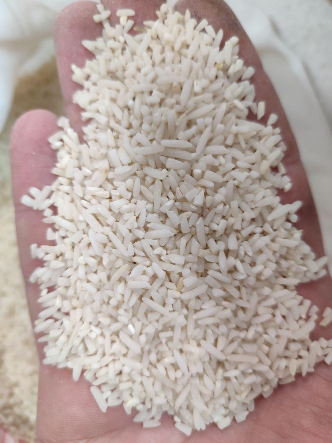 برنج سرلاشه هاشمی معطر|خوردنی و آشامیدنی|زنجان, |دیوار