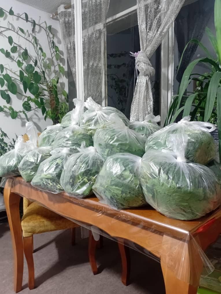 دلمه برگ مو با گوشت گرم گوسفندی با بالاترین کیفیت|خوردنی و آشامیدنی|شیراز, معالی‌آباد|دیوار