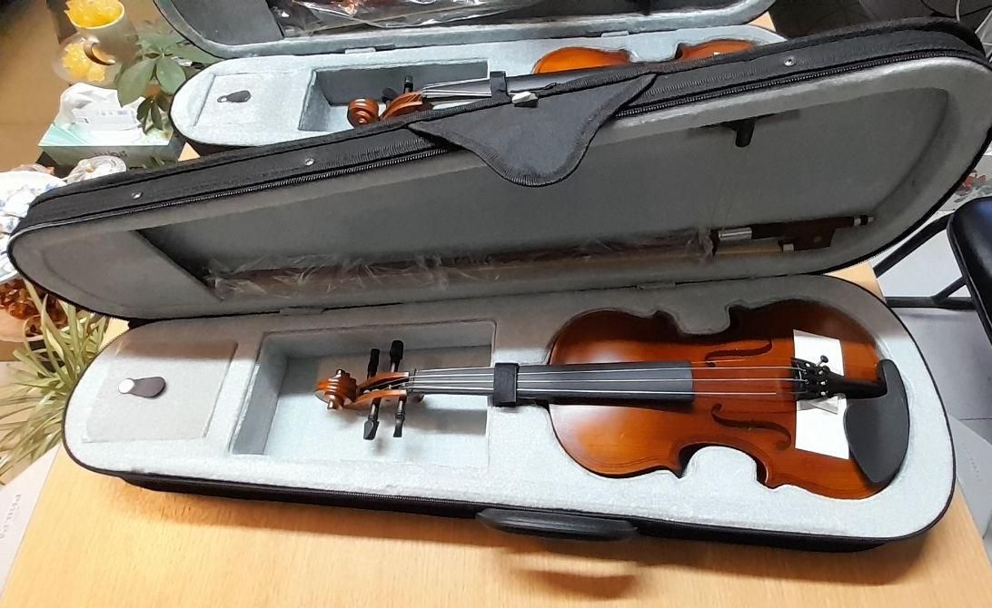 ویولن 1/4 2/4 hofner|ویولن|اصفهان, نقش جهان|دیوار