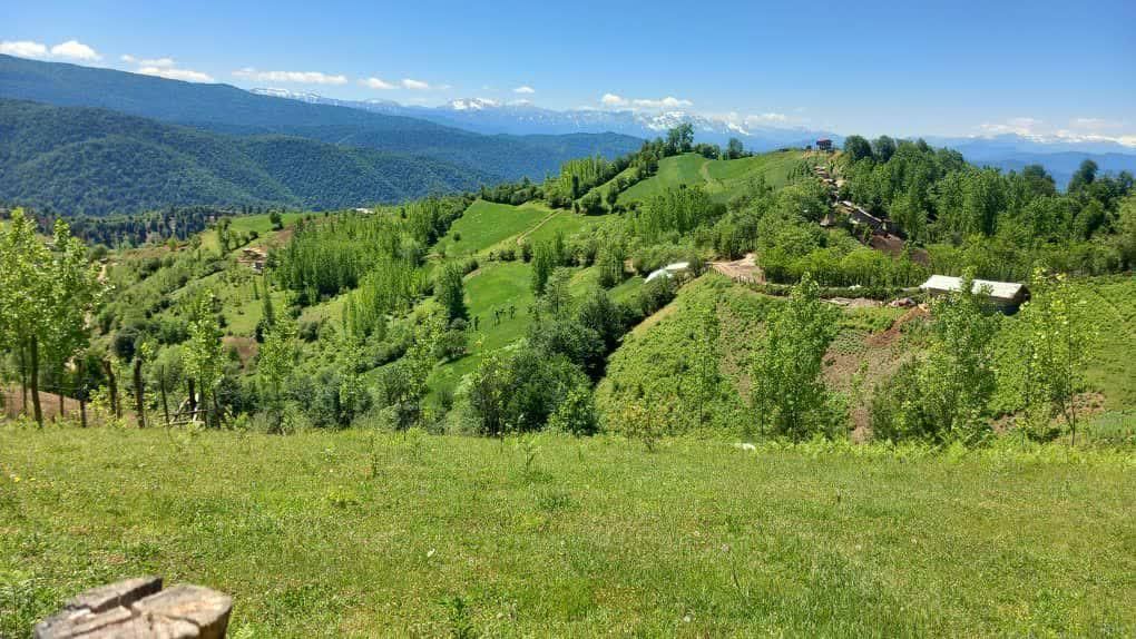 اجاره خانه،ویلا وسوئیت روستای چورت دریاچه میانشه|اجارهٔ کوتاهمدت ویلا و باغ|کیاسر, |دیوار