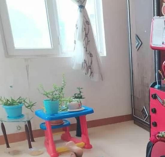 میز کودک|تخت و صندلی بچه|بیرجند, |دیوار