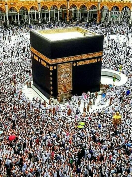 فروش فیش حج تمتع|تور و چارتر|کرج, آق تپه|دیوار