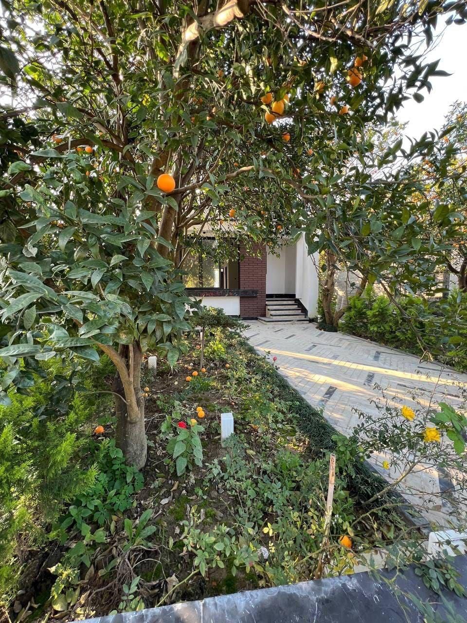 با900میلیون صاحب ویلاشو*پول لازم*سنددار*بافت*|فروش خانه و ویلا|چمستان, |دیوار