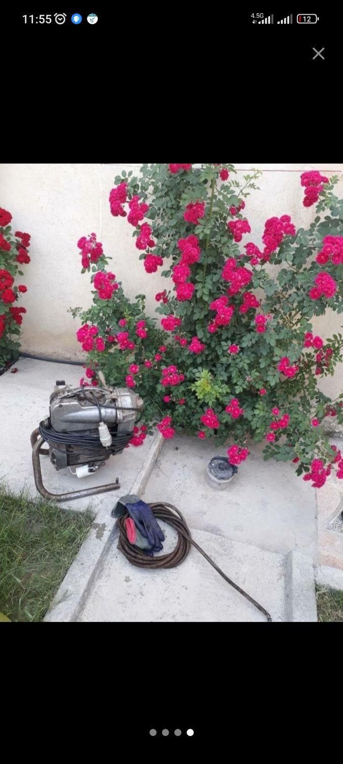 لولــه بازکنیـ طرشت استامعیـن ستارخان صادقـیه طـوس|خدمات پیشه و مهارت|تهران, طرشت|دیوار