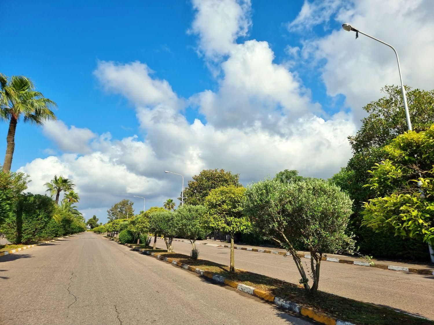 ویلا دونبش باویوی فضای سبز دربافت اصیل خزرشهرجنوبی|فروش خانه و ویلا|فریدون‌کنار, |دیوار