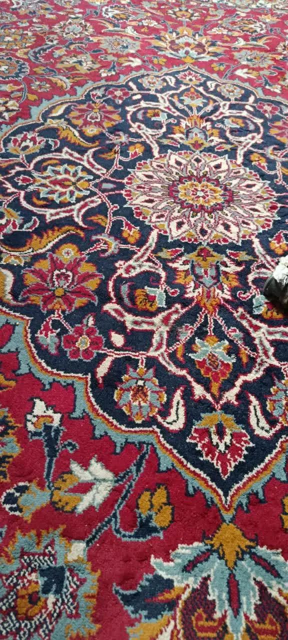 فرش دستباف گونه|فرش|مشهد, امیریه|دیوار