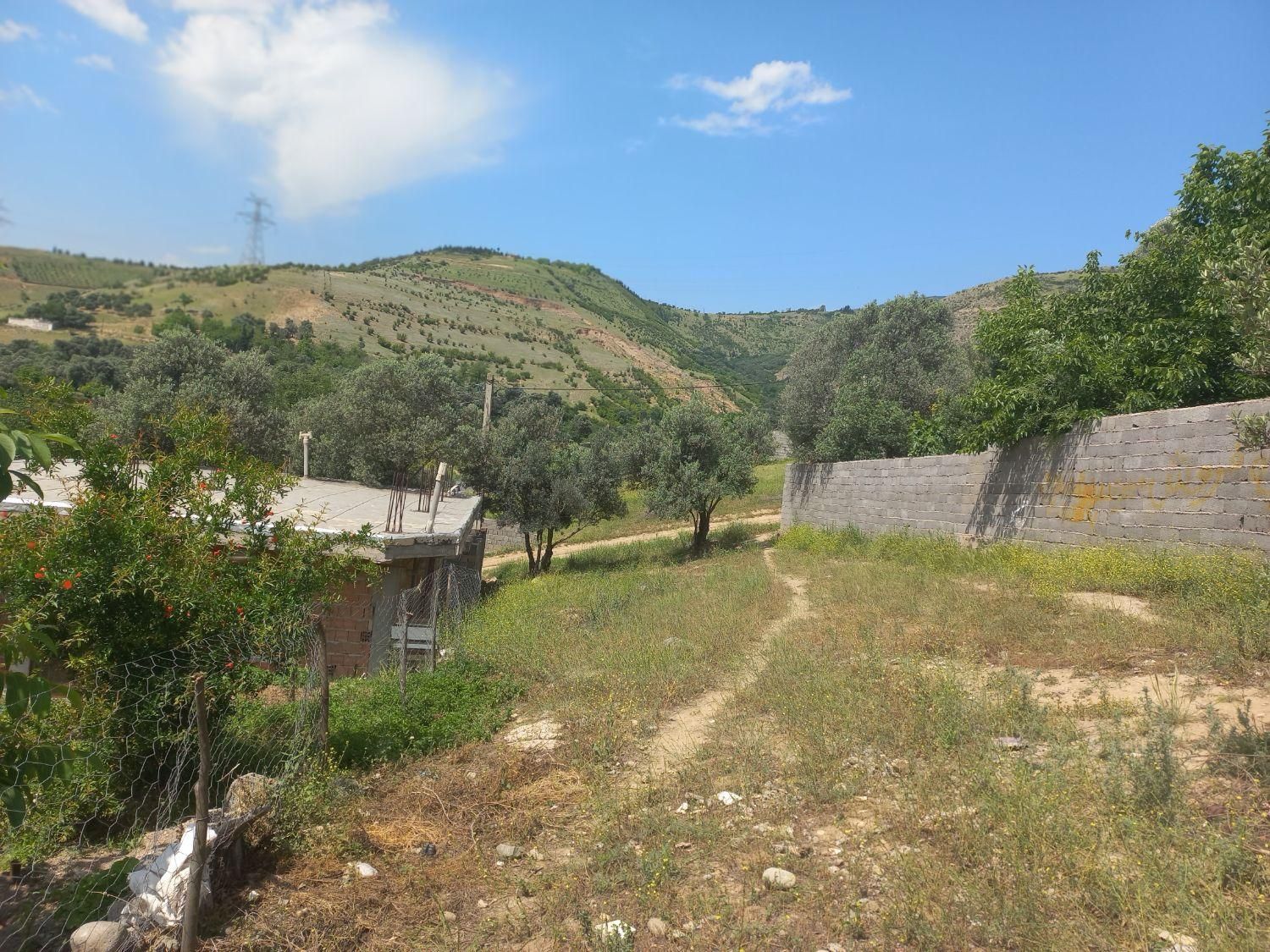 فروش زمین همراه با جواز ساخت در روستای نوراباد|فروش زمین و ملک کلنگی|رستم‌آباد, |دیوار