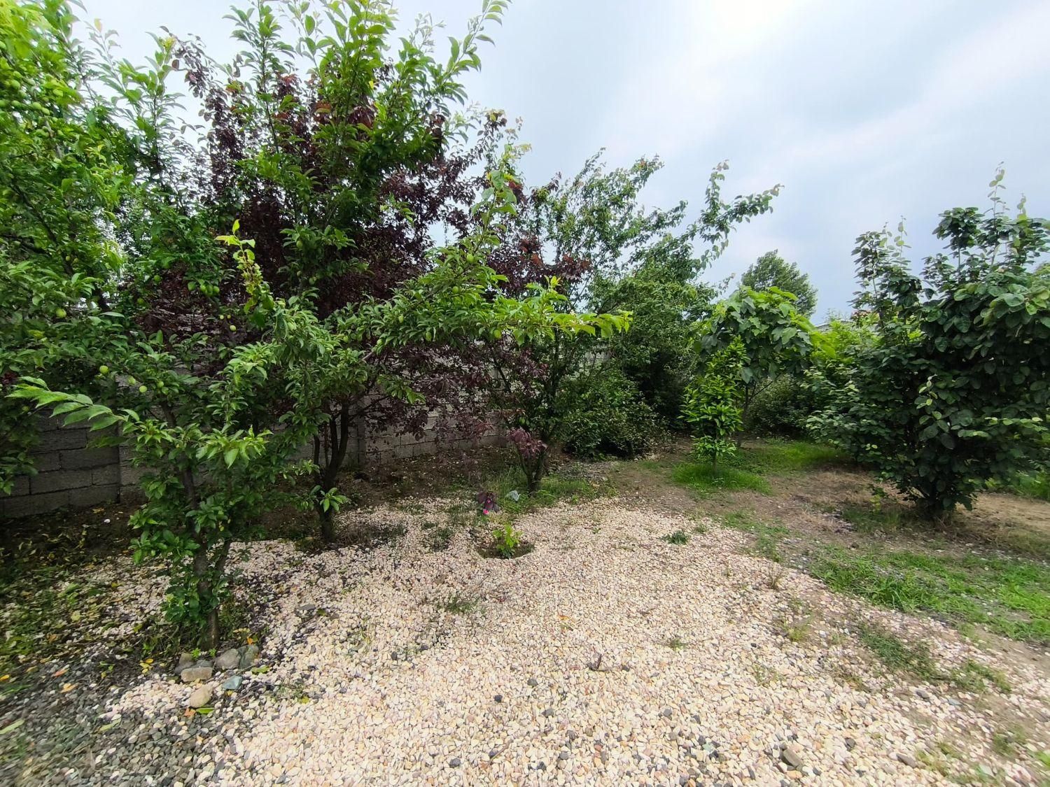 فروش زمین ۶۸۳ متری|فروش زمین و ملک کلنگی|آستارا, |دیوار