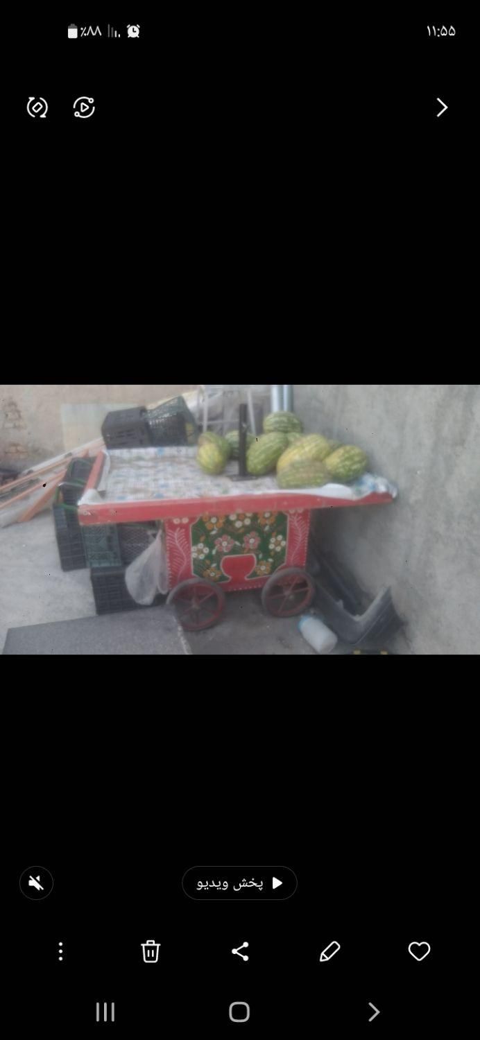 گاری میوه فروشی|فروشگاه و مغازه|گلستان (تهران), |دیوار