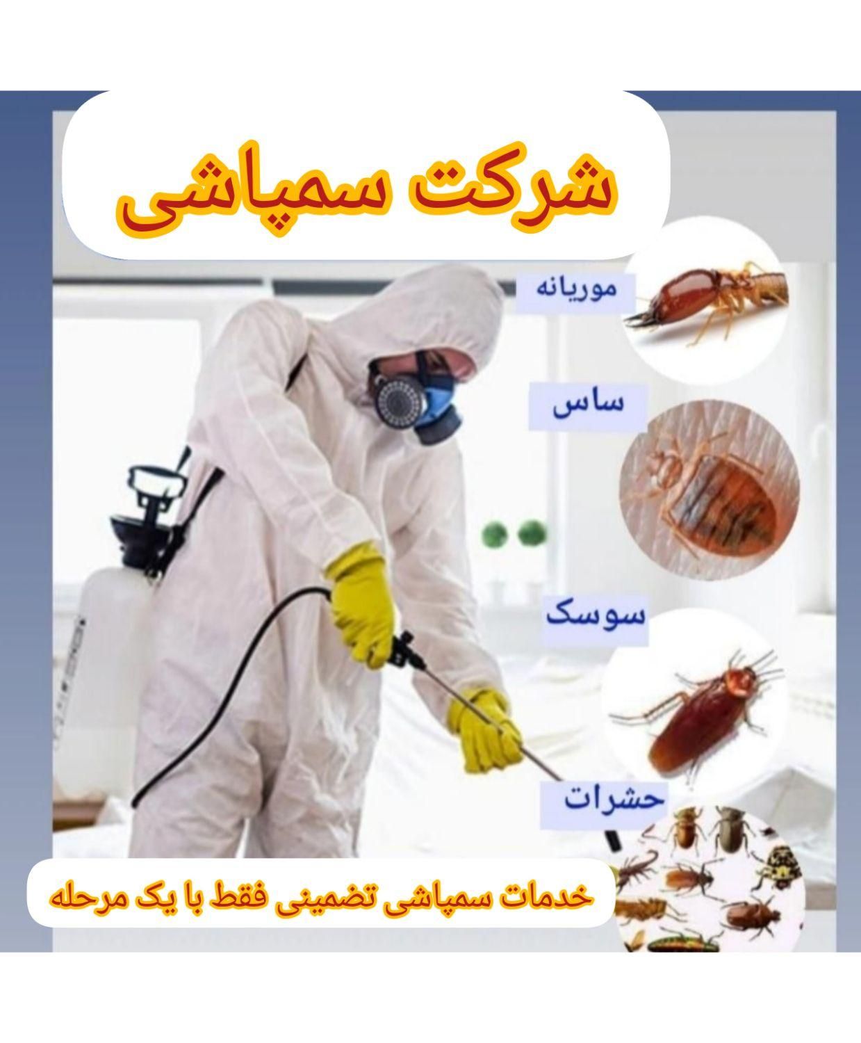 سمپاشی موریانه ساس سوسک سم پاشی تضمینی|خدمات نظافت|بندر ماهشهر, |دیوار