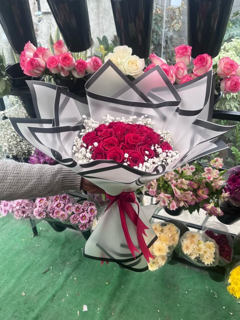 پخش عمده گل رز هلندی|گل و گیاه طبیعی|مشهد, هنرستان|دیوار