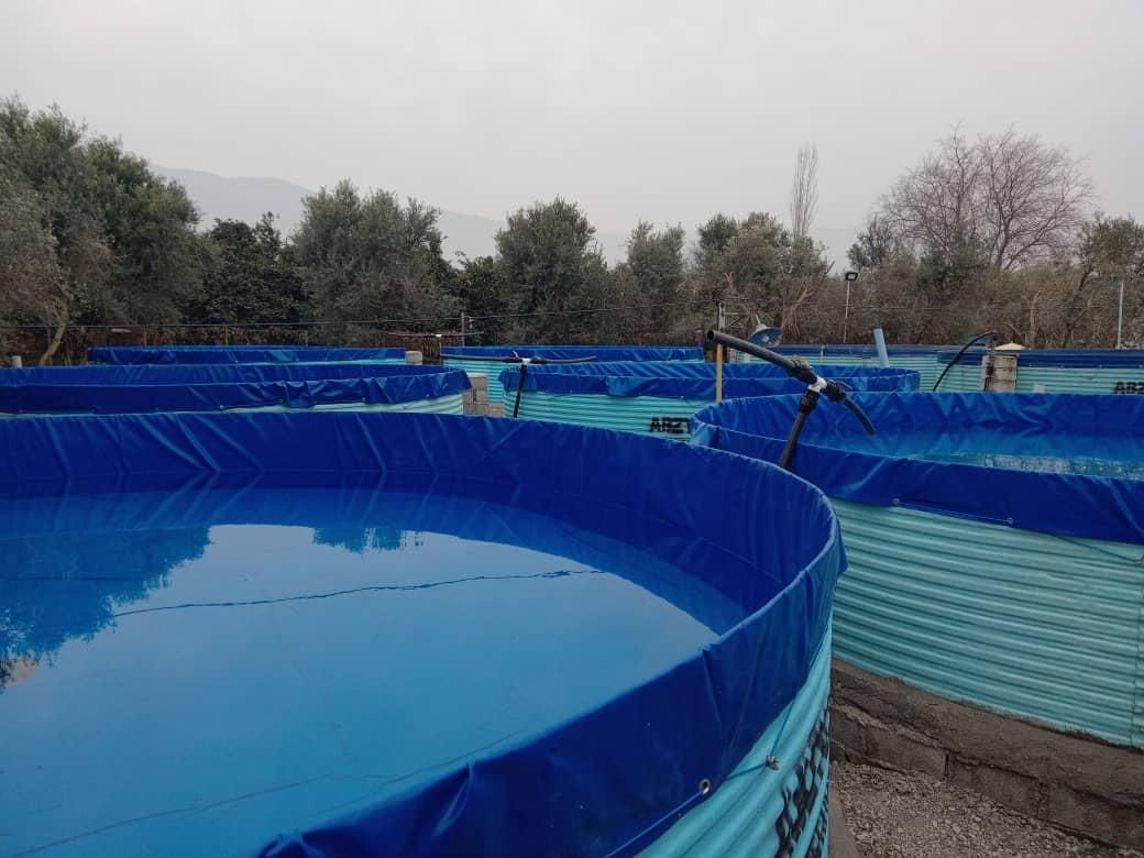 اجاره  مزرعه گردشگری پروش ماهی باغ زیتون|اجارهٔ دفتر صنعتی، کشاورزی، تجاری|نوکنده, |دیوار