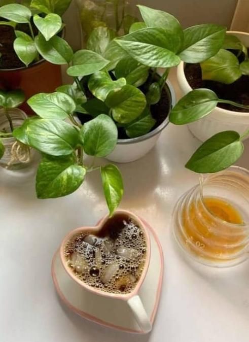 مراقبت ازسالمند.کودک.تنظیفات.شرکت خدماتی همیاران|خدمات نظافت|شیراز, قصرالدشت|دیوار