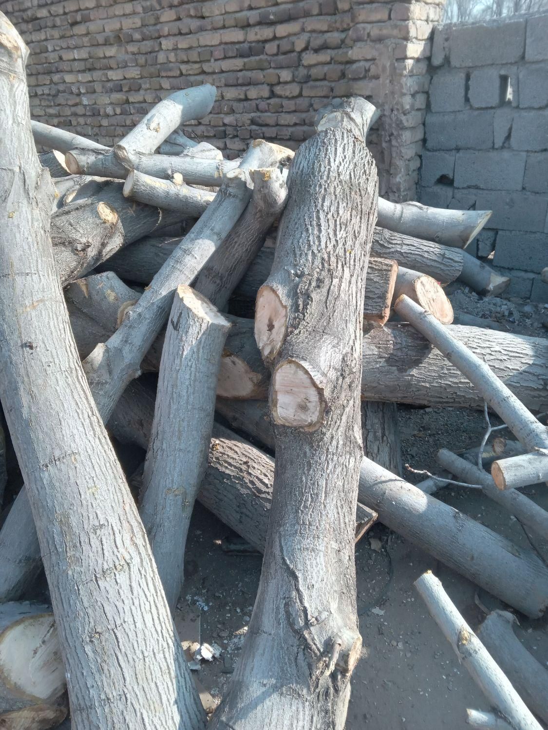 خرید چوب درخت قلمه،ضایعات میوه و چوب دام|خدمات باغبانی و درختکاری|خوی, |دیوار