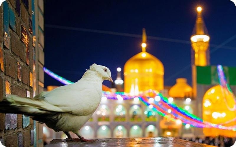 تور ریلی مشهد|تور و چارتر|اصفهان, جلفا|دیوار