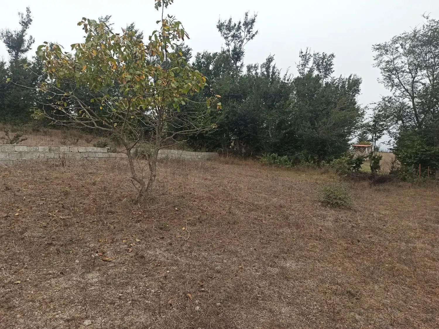 ۲۵۰ متر زمین در چشمکی روستای توریستی گنبک|فروش زمین و ملک کلنگی|توتکابن, |دیوار
