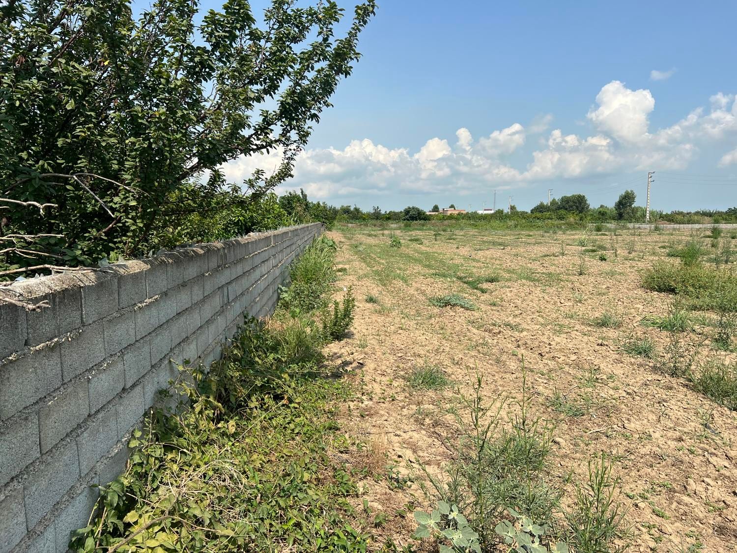 باغچه ۳۰۰ متری بر آسفالت / انشعابات پای ملک|فروش دفتر صنعتی، کشاورزی، تجاری|کیاکلا, |دیوار
