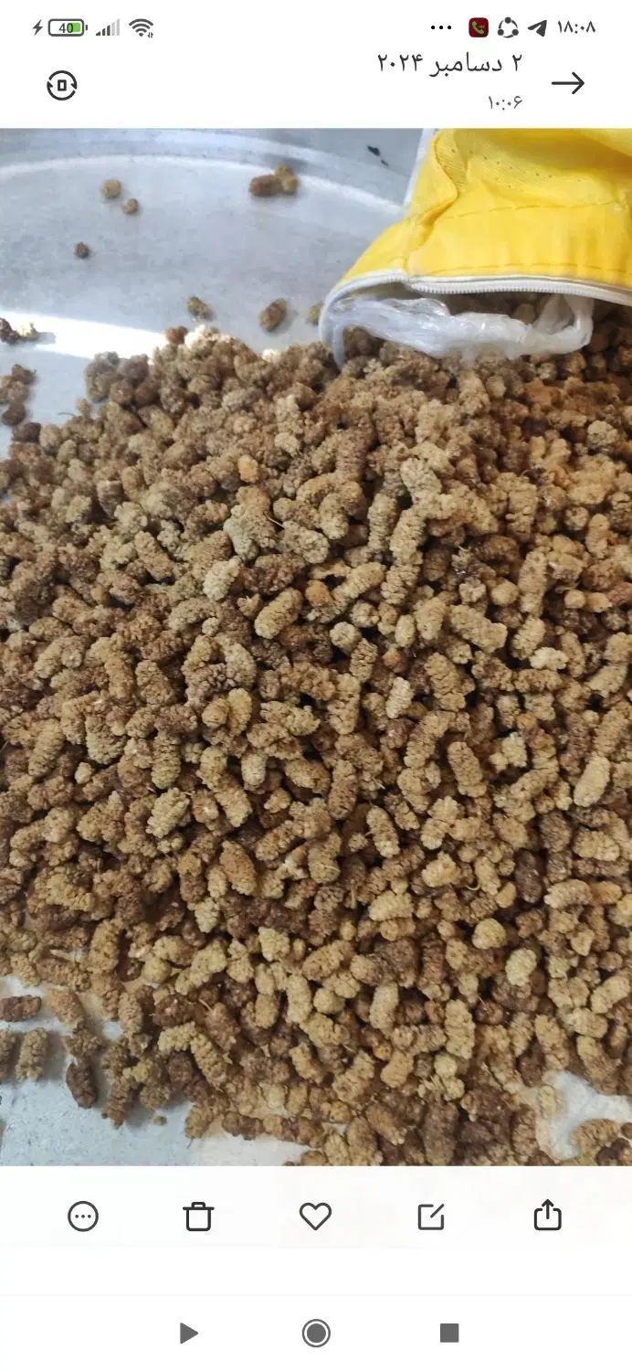 توت خشک عالی|خوردنی و آشامیدنی|اصفهان, روشن‌دشت|دیوار