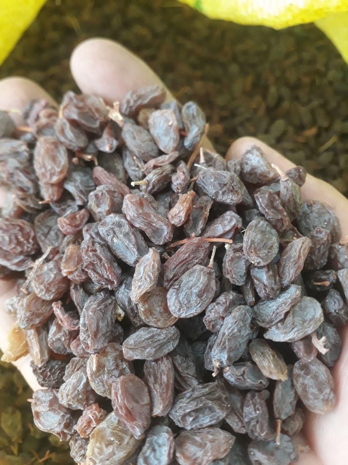 کشمش،مویز آفتابی بوانات شهدار گوشتی شیرین آمیرزا|عمدهفروشی|یزد, |دیوار