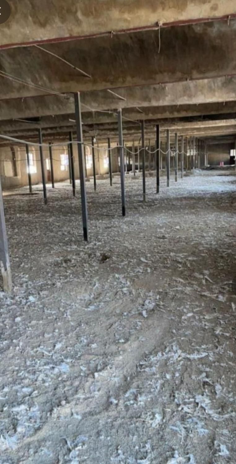 زیل مرغی(کود مرغ گوشتی)|حیوانات مزرعه|سرپل ذهاب, |دیوار