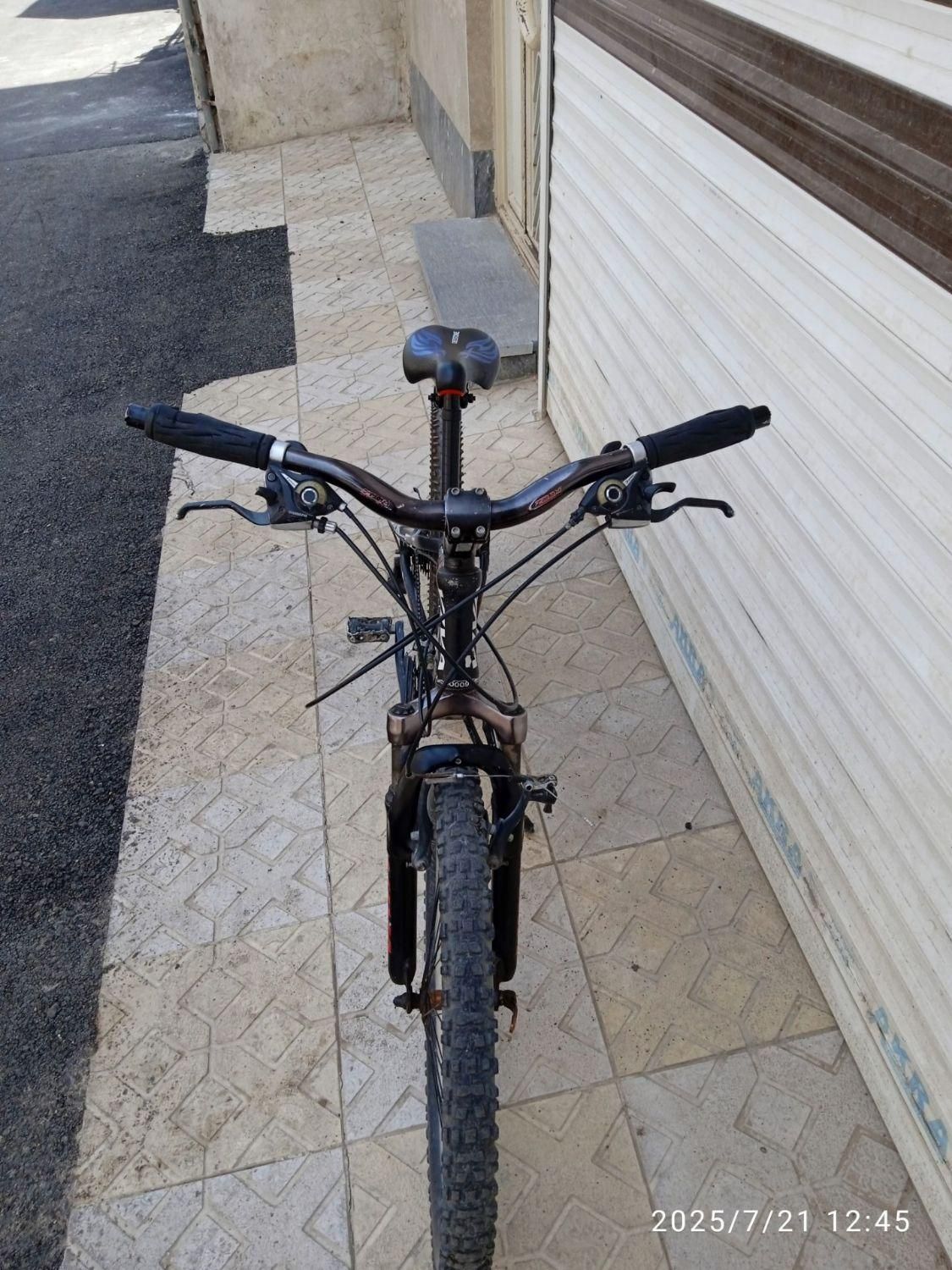 دوچرخه حرفه‌ای ویوا اصل|دوچرخه، اسکیت، اسکوتر|اردبیل, |دیوار