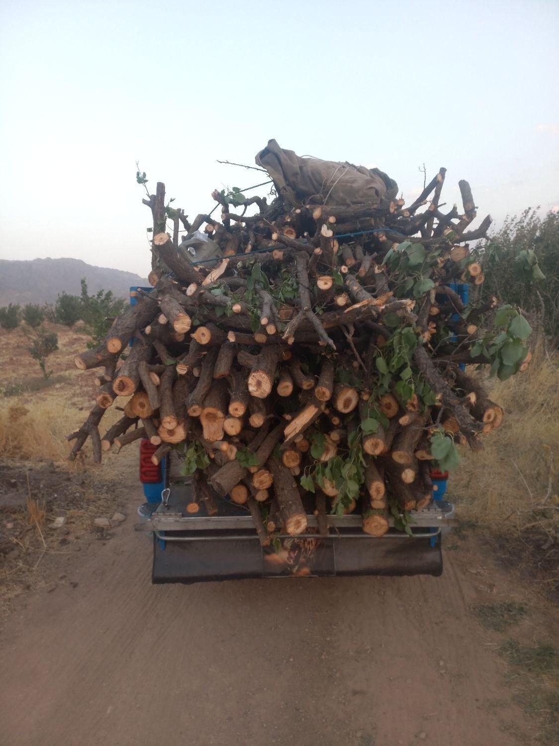 خریدار چوب تر و خشک|خدمات باغبانی و درختکاری|خرمآباد, |دیوار