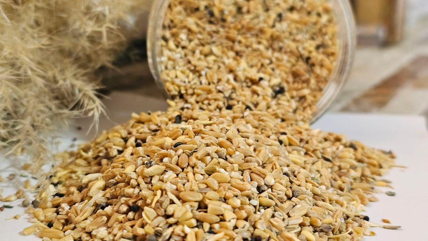 خرده گندم،خورده گندم|حیوانات مزرعه|تهران, آسمان|دیوار