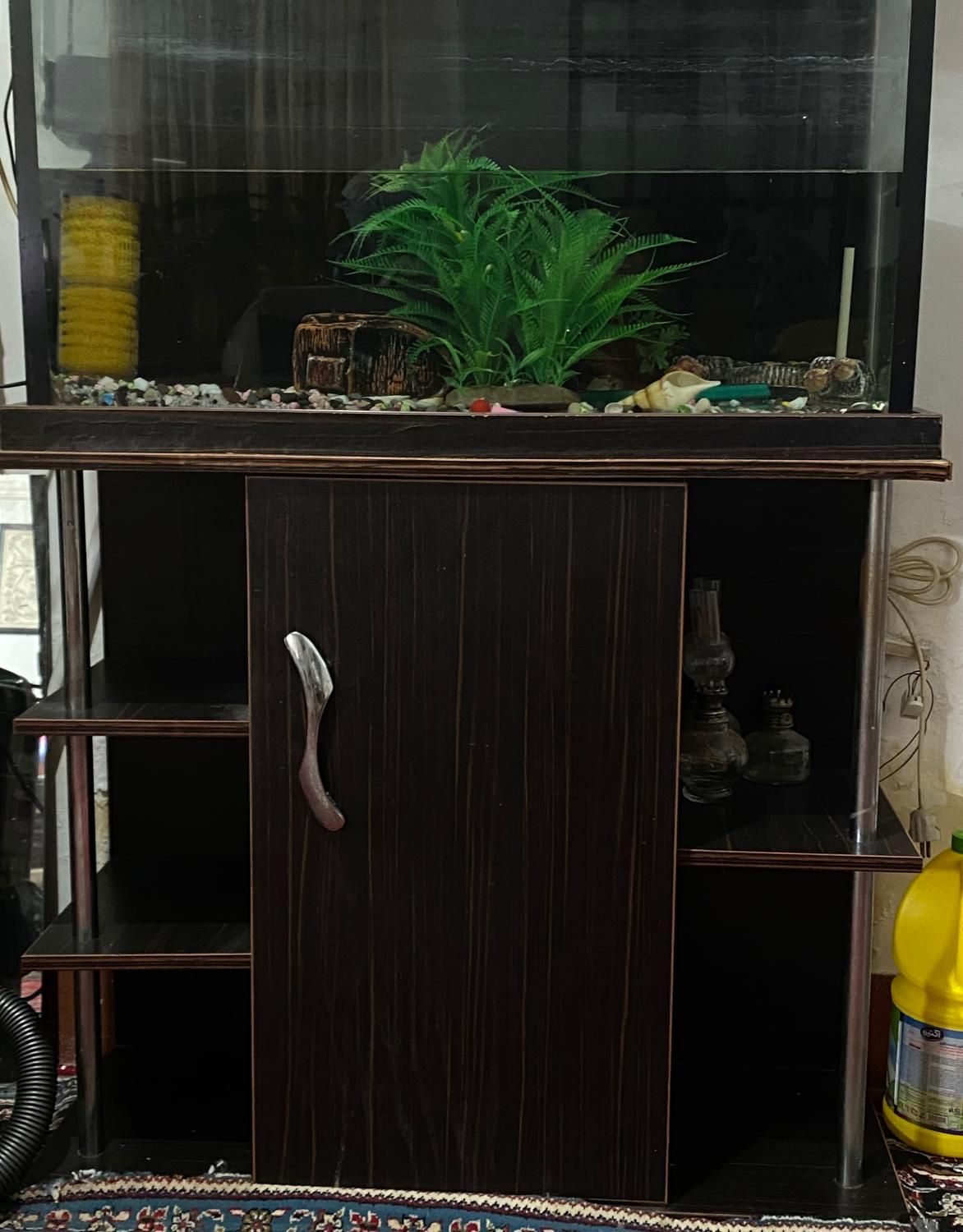 اکواریوم|ماهی|شاهرود, |دیوار