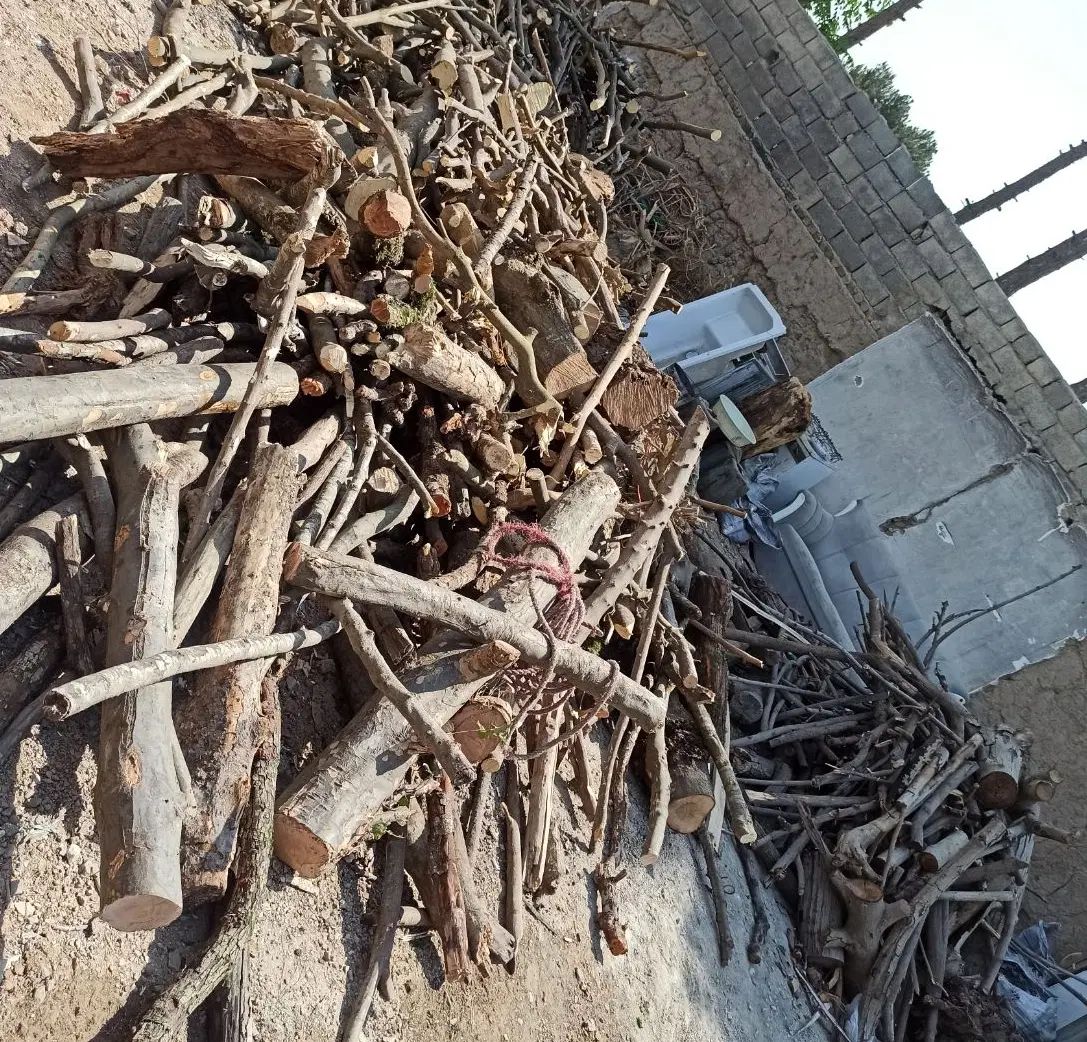 خریدار انواع چوب|خدمات باغبانی و درختکاری|کرج, حسین آباد (اکبر آباد)|دیوار