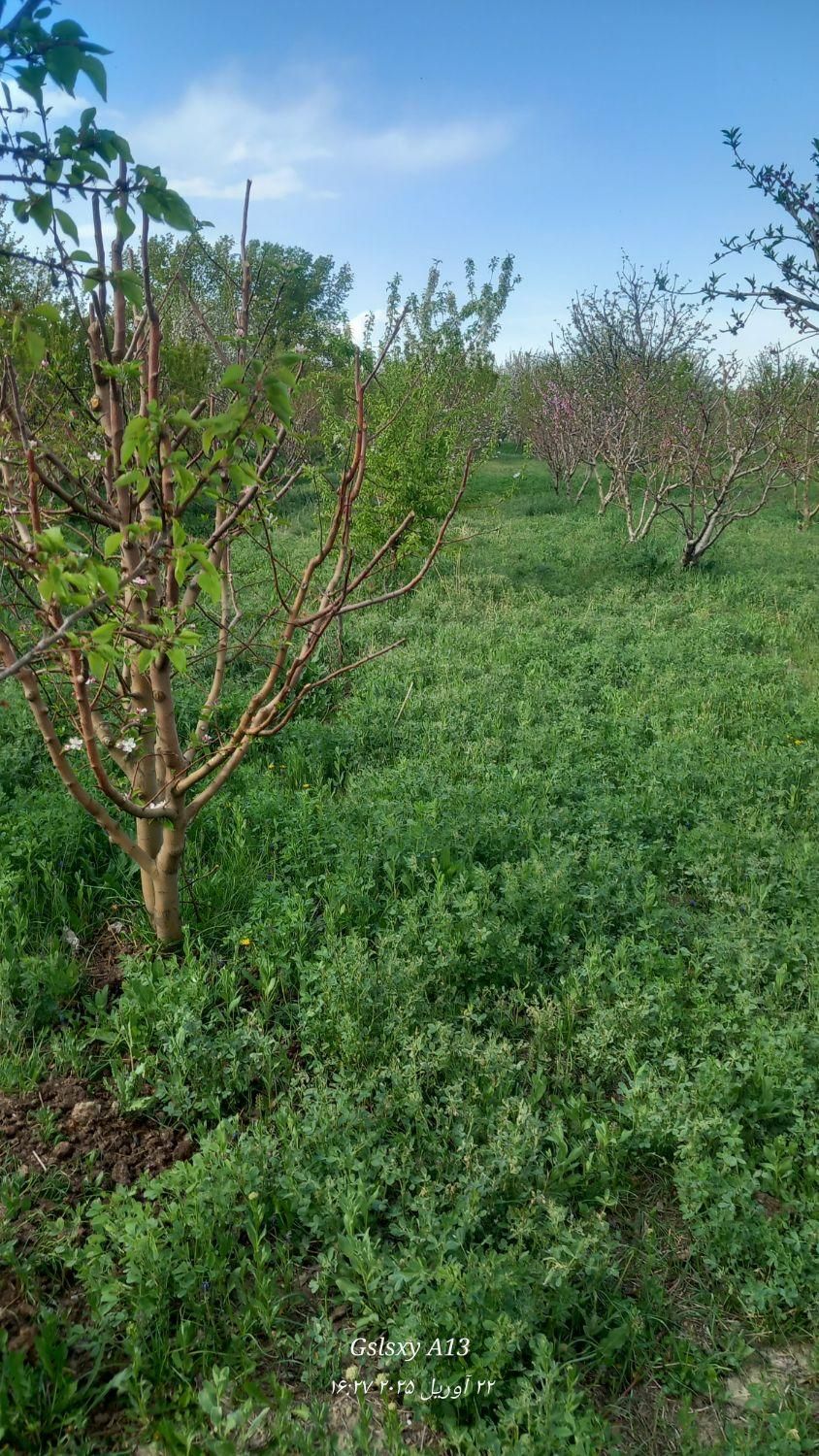 کارگر باغ وباغچه|خدمات باغبانی و درختکاری|ارومیه, |دیوار