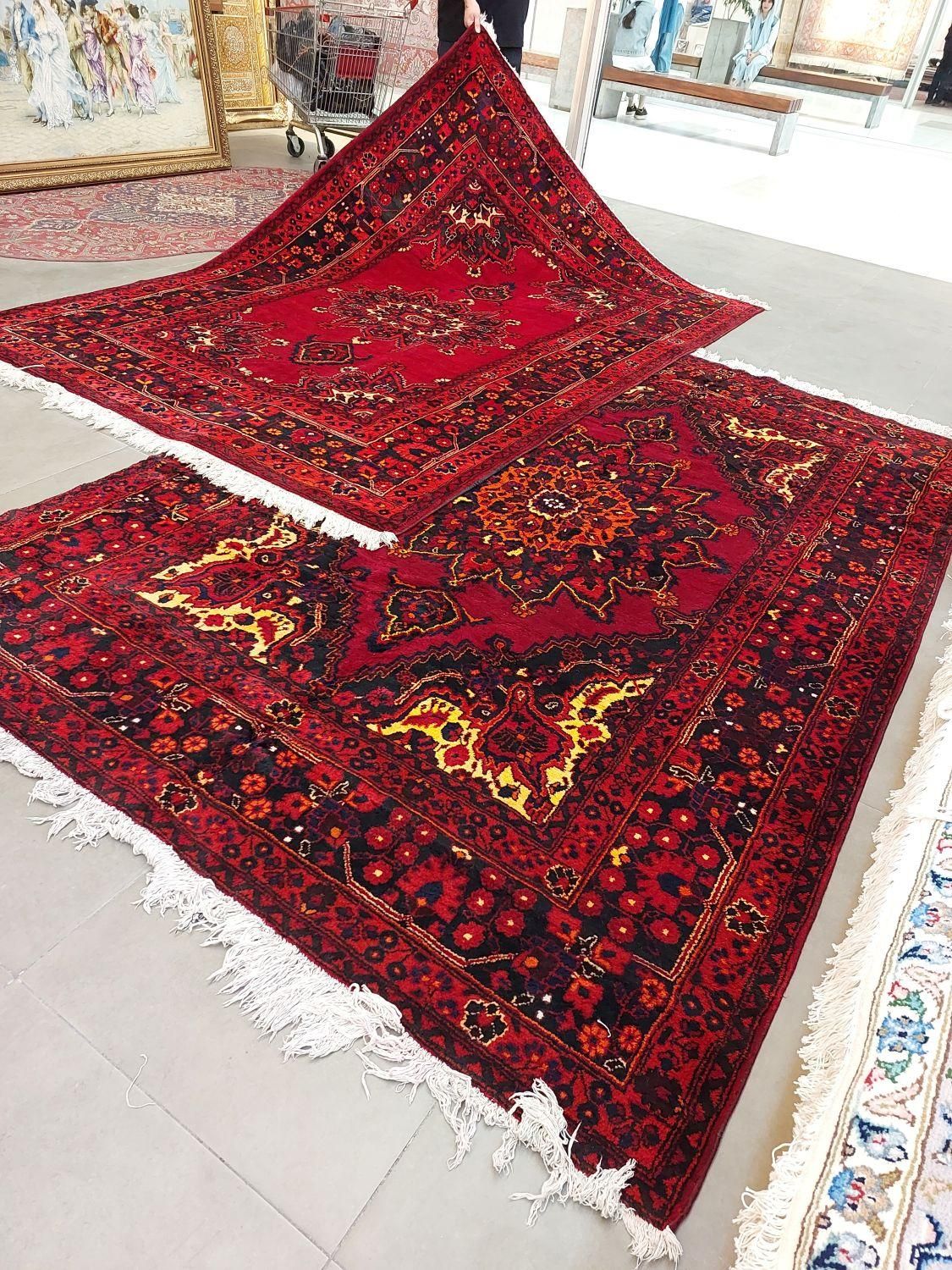 فرش دستباف ۶ متری رنگ گیاهی دونه ای ۳۷ ملیوت تومن|فرش|کرج, مشکین‌دشت|دیوار